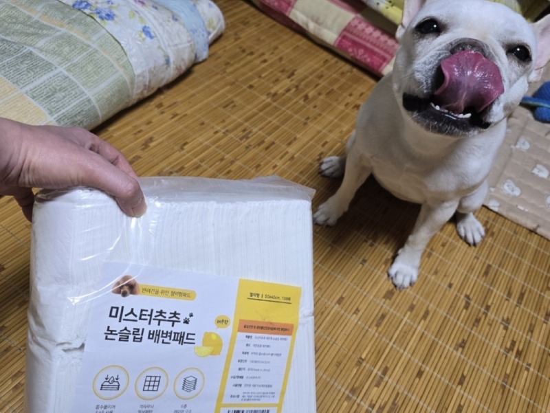 미스터추추 배변패드 (2).jpg