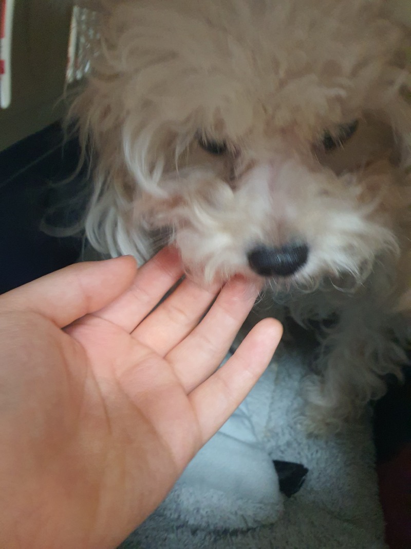 오늘 우리 탕