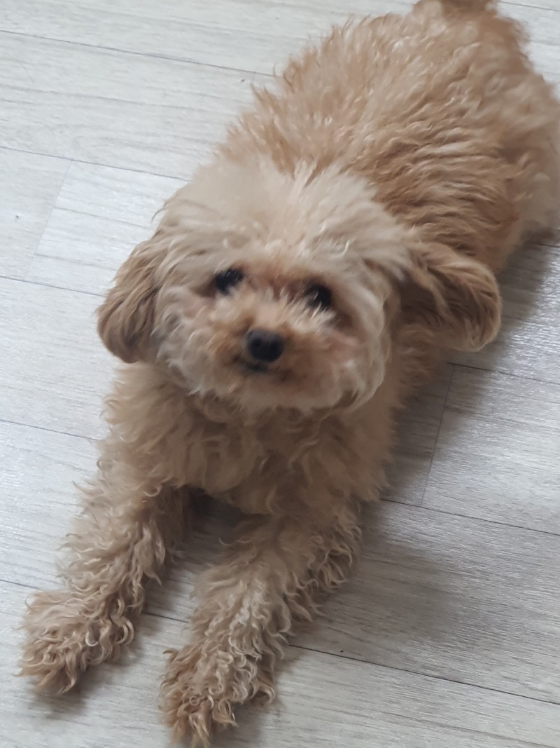 오늘 우리 감자