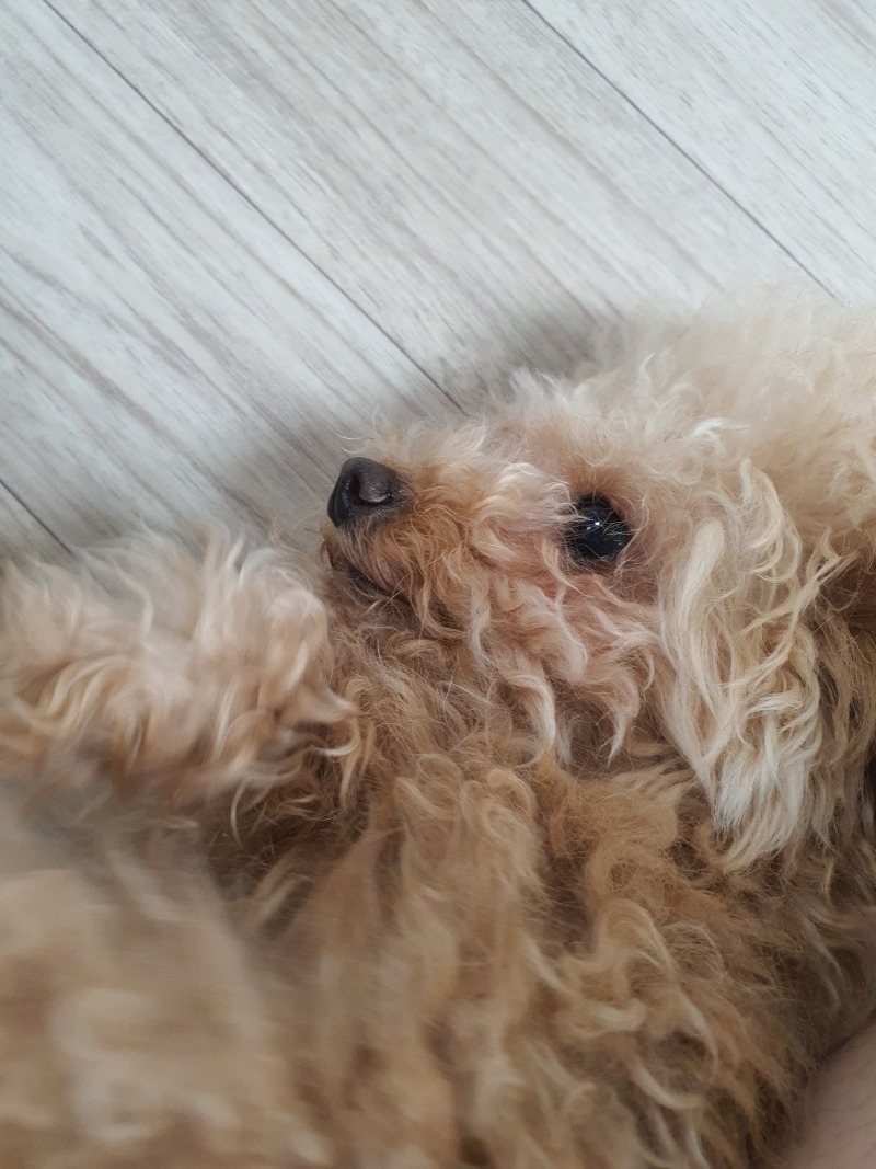 오늘 우리 감자