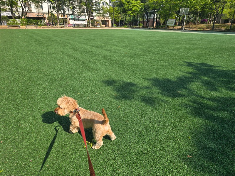 서낭당근린공원, 등촌동 도심한가운데 근린공원산책