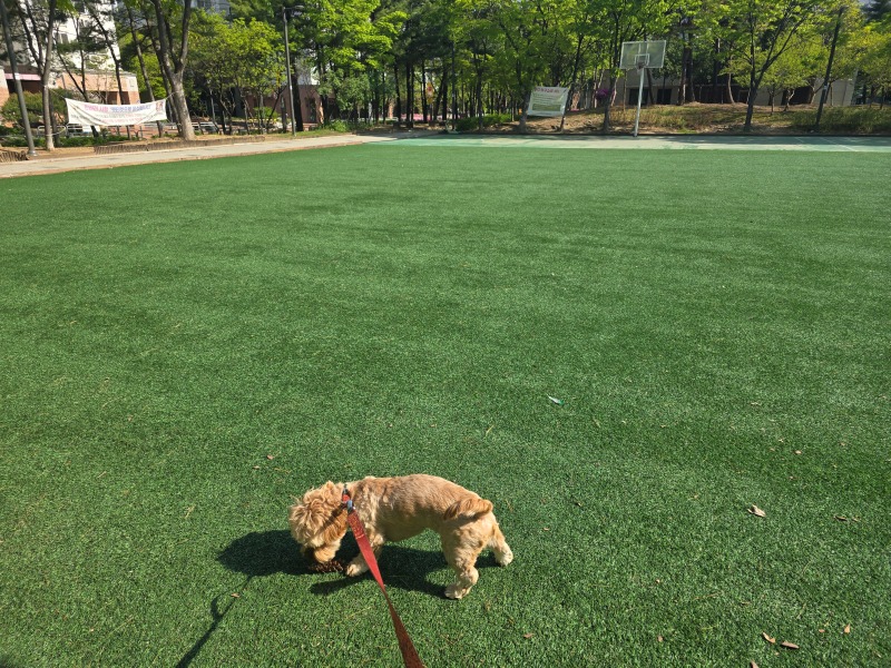 서낭당근린공원, 등촌동 도심한가운데 근린공원산책