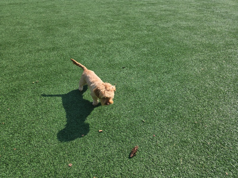 서낭당근린공원, 등촌동 도심한가운데 근린공원산책
