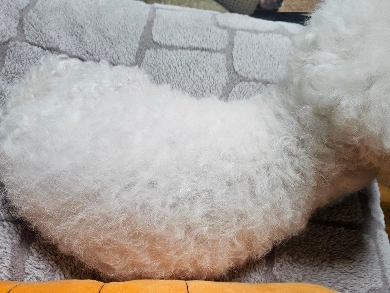 빗고 나서 윤기.jpg