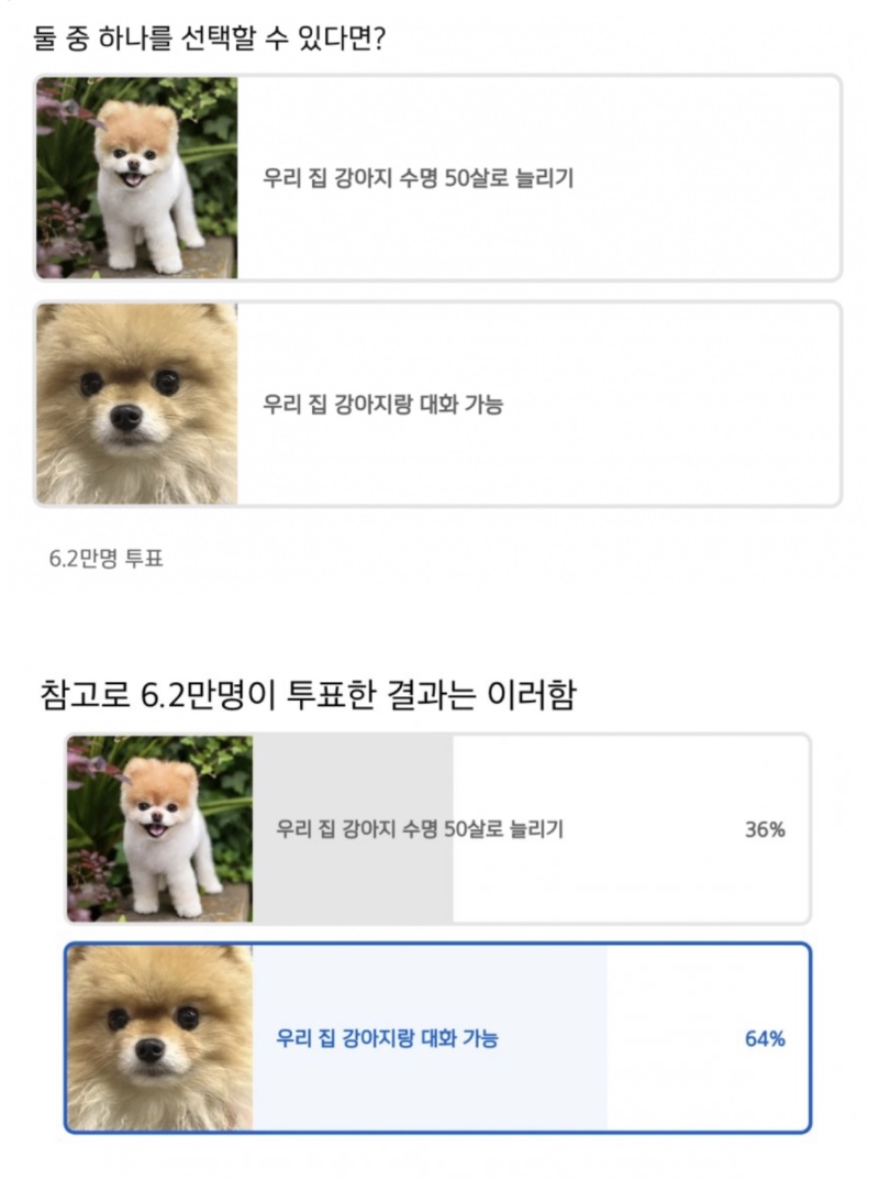 웃음벨 사진 투척ㅎㅎ