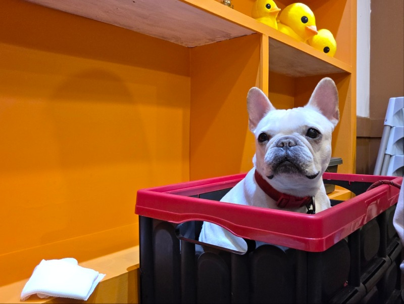 찐빵이