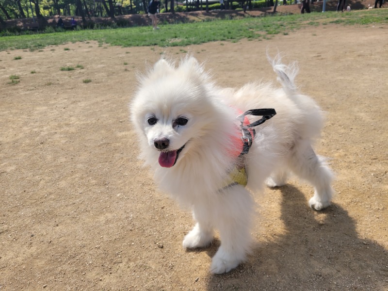 나들이