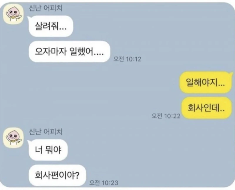 입사 5일차 된 친구의 카톡 