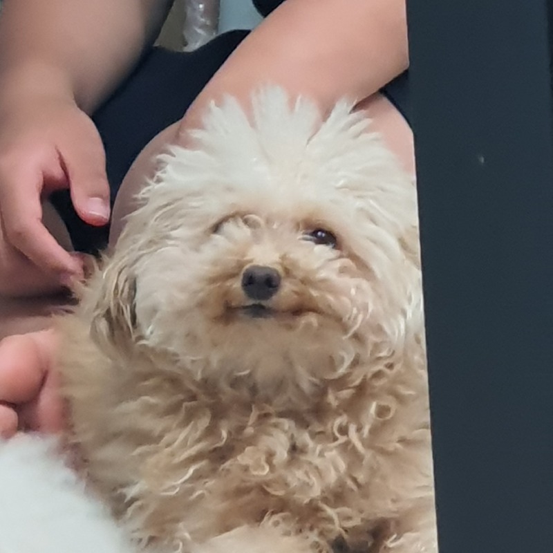 오늘자 감자