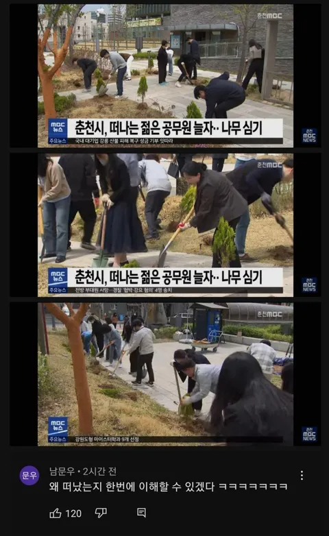 공무원이 열리는(?) 나무