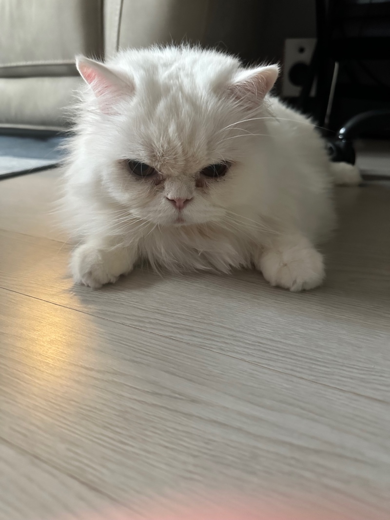 세모 오랜만이야~