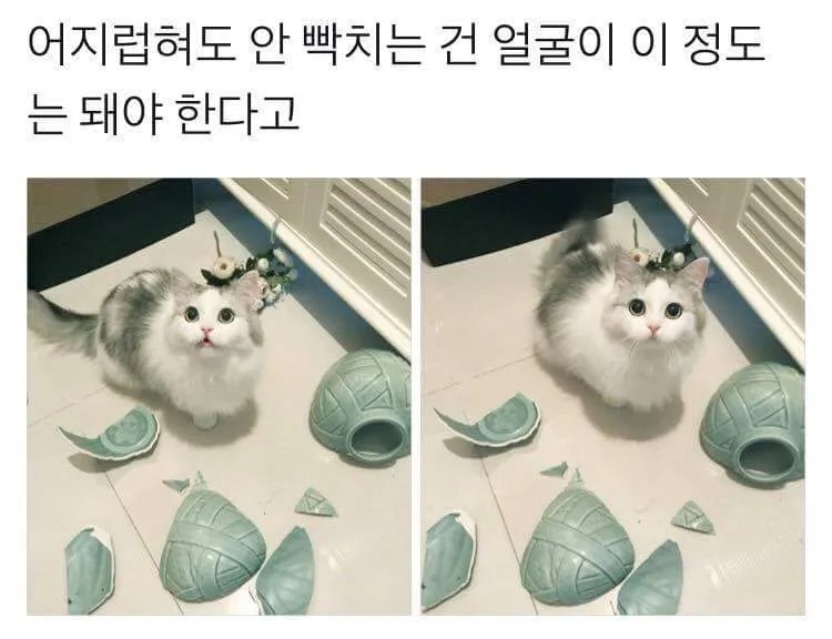 이정도는 귀여워야 안혼난다 