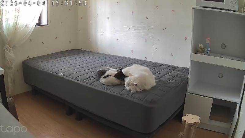 너무 예뻥