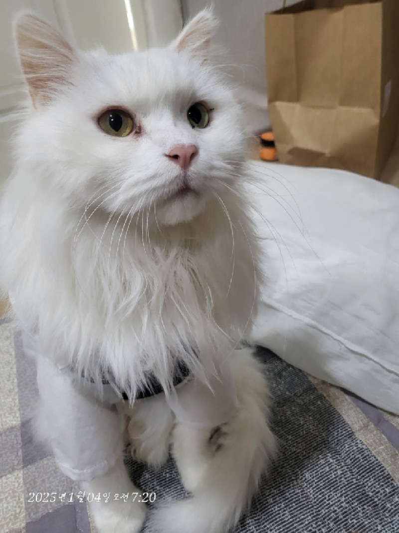 너무 예뻥