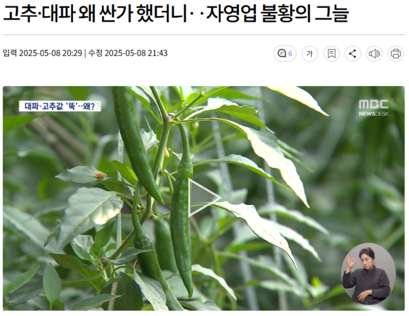 최근 고추, 대파 가격이 저렴해진 이유ㅎㄷㄷㄷㄷ