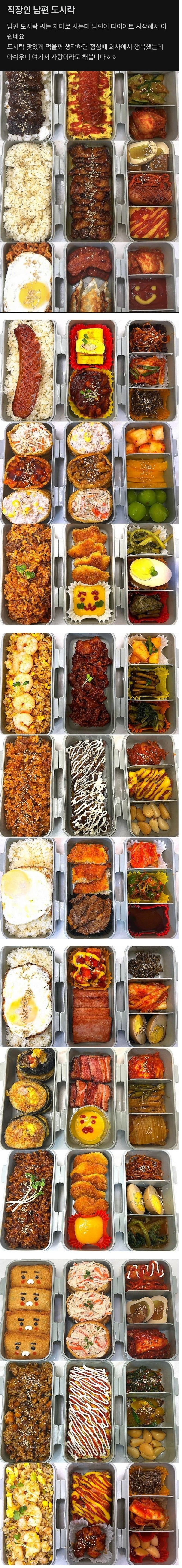 남편 도시락 싸는 재미 자랑하시는 분 