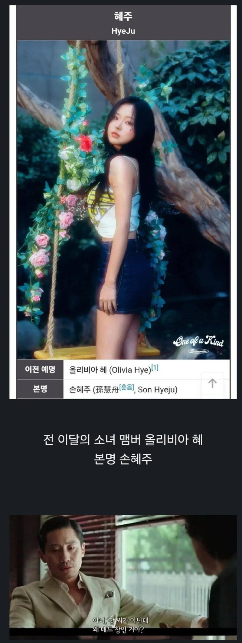 걸그룹계의 테드창