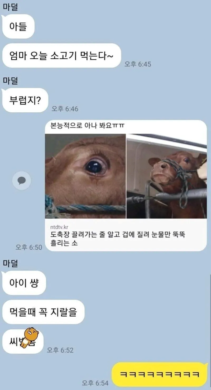 아들들이 엄마랑 카톡 할 때