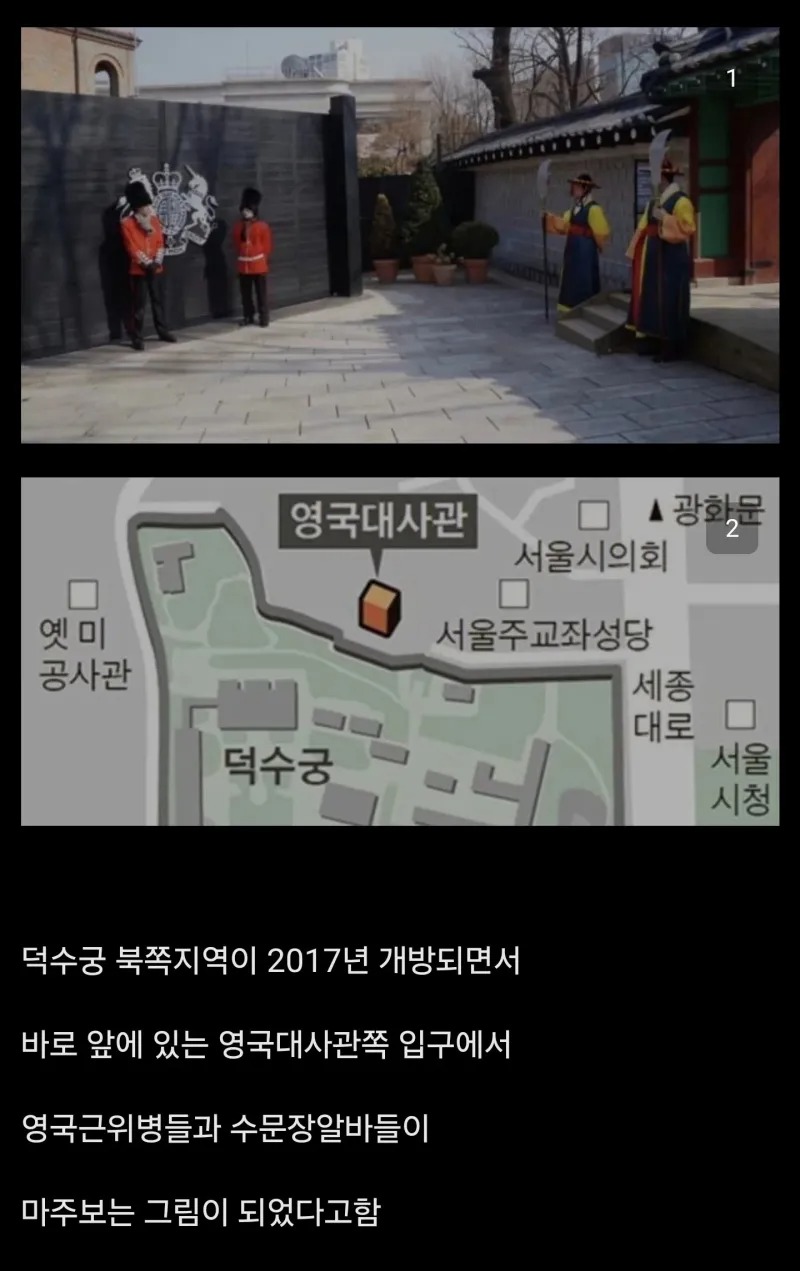 한국에서 볼 수있는 진귀한 광경