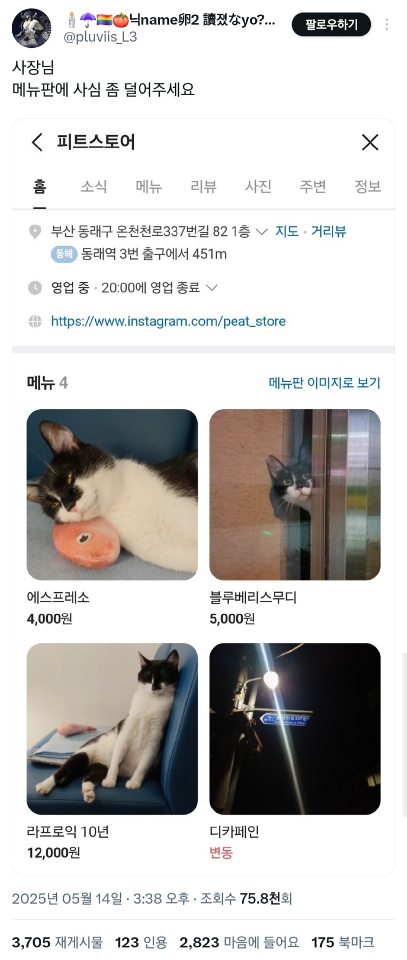사심 너무 심하게 들어간 부산 카페 