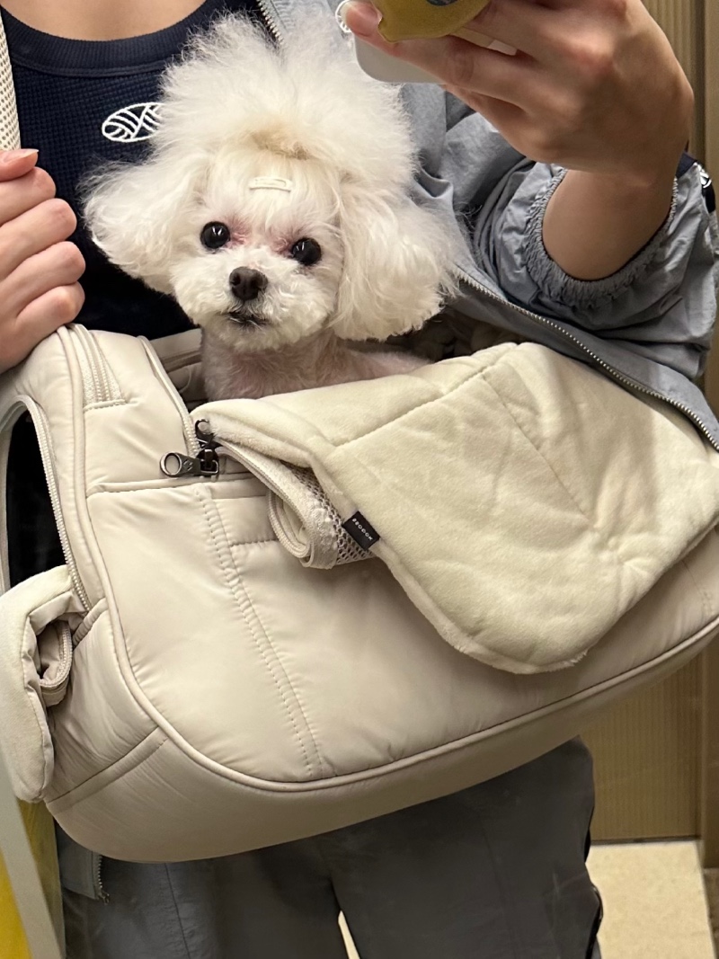 미용한 겨울이