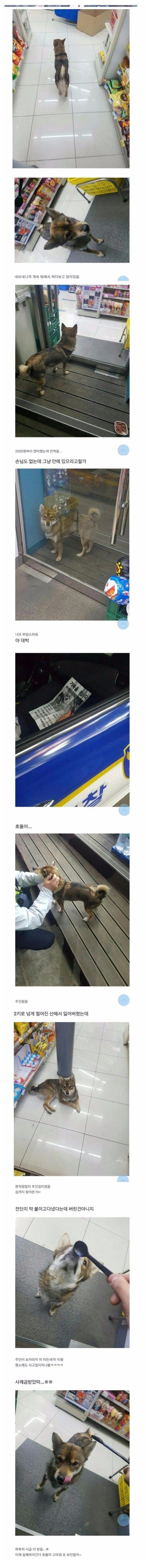 편의점으로 들어온 강아지