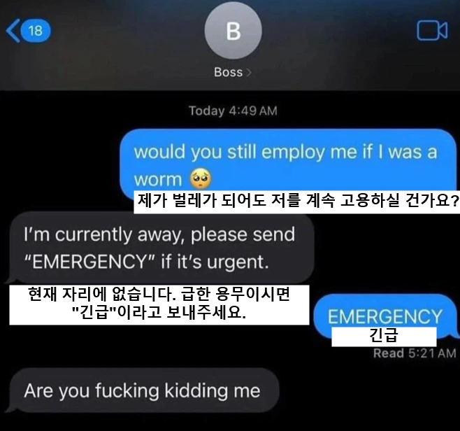새벽 4시에 직장상사에게 문자보내기ㄷㄷㄷ