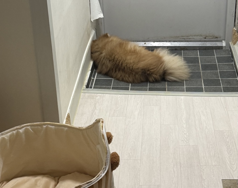 왜거기서 자누ㅜㅜ