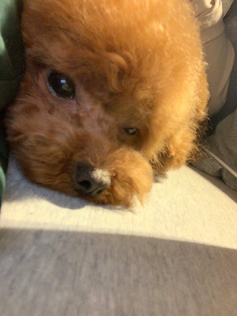 잘자요~