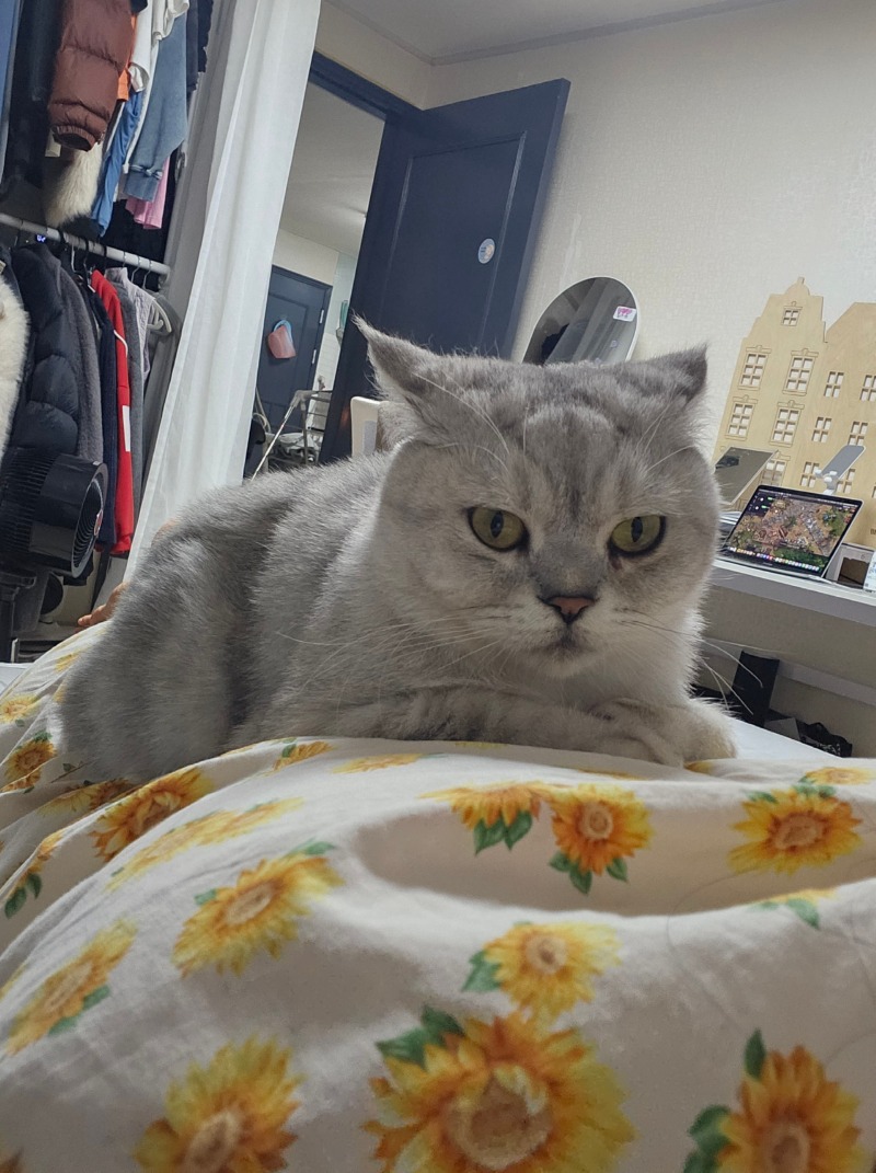 내려와