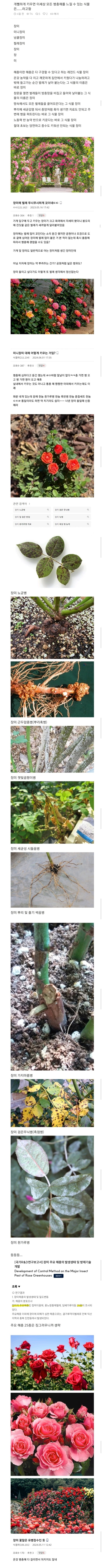 생각보다 병충해에 강하다는 식물 