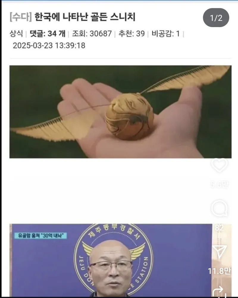 한국의 변방 경찰서에 나타난 골든 스니치