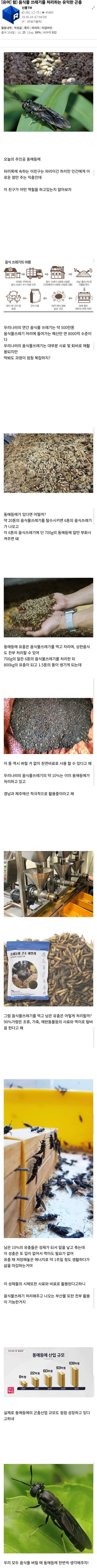 곤충주의)음식물 쓰레기를 처리해주는 유익한 곤충.jpg