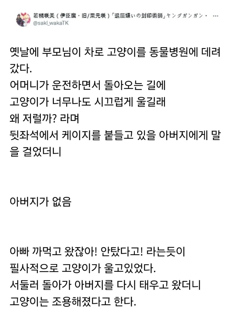 동물병원을 다녀온 고양이가 계속 울었던 이유