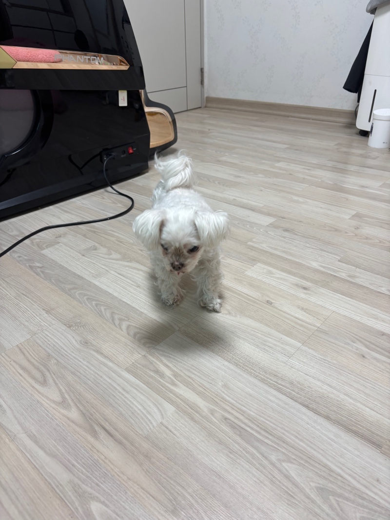 사랑이 ㅎㅎㅎ