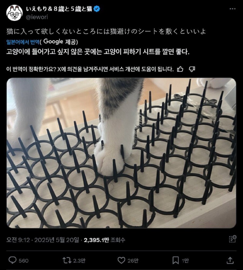 고양이가 못들어가게 고양이 방지시트를 깔면좋다.jpg