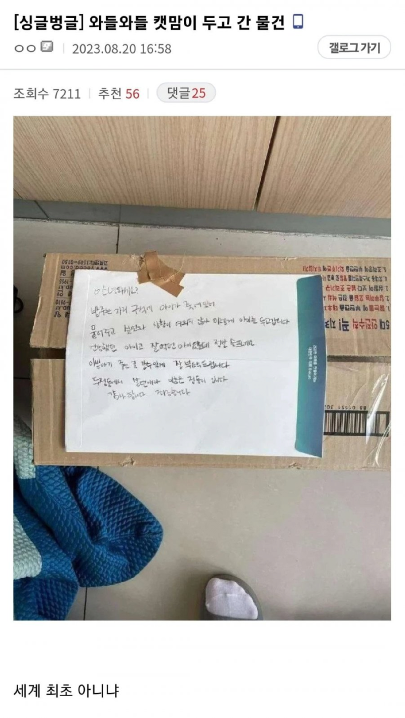 캣맘들의 사회적 인식이 안좋은 이유 