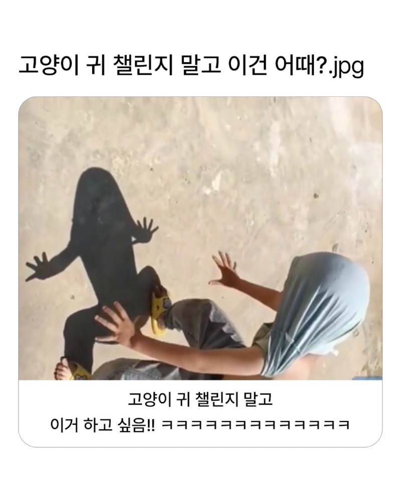고양이 귀 챌린지는 끝이다