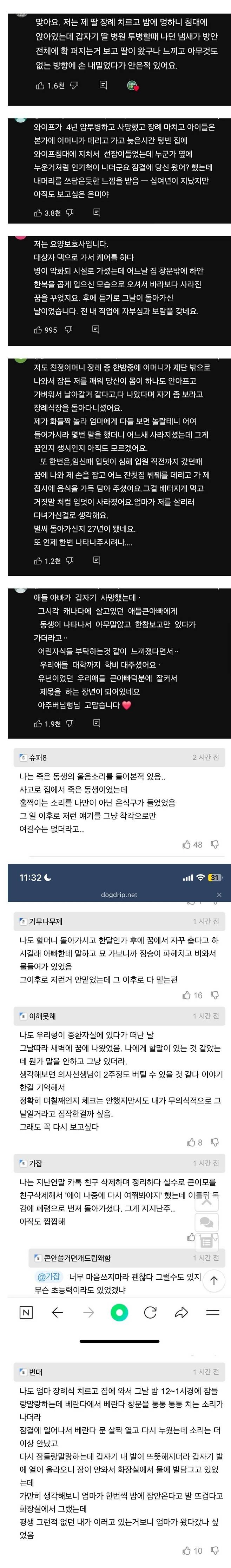 죽은 사람이 찾아왔다는 사람들 
