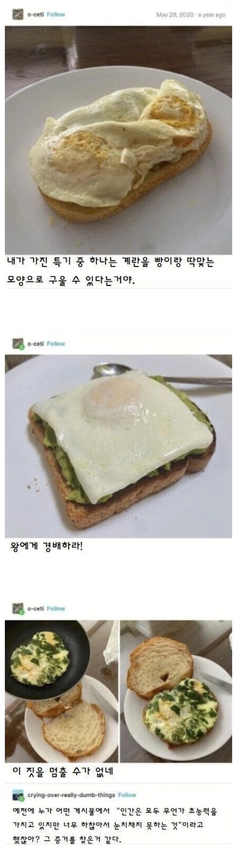 굉장한 능력자