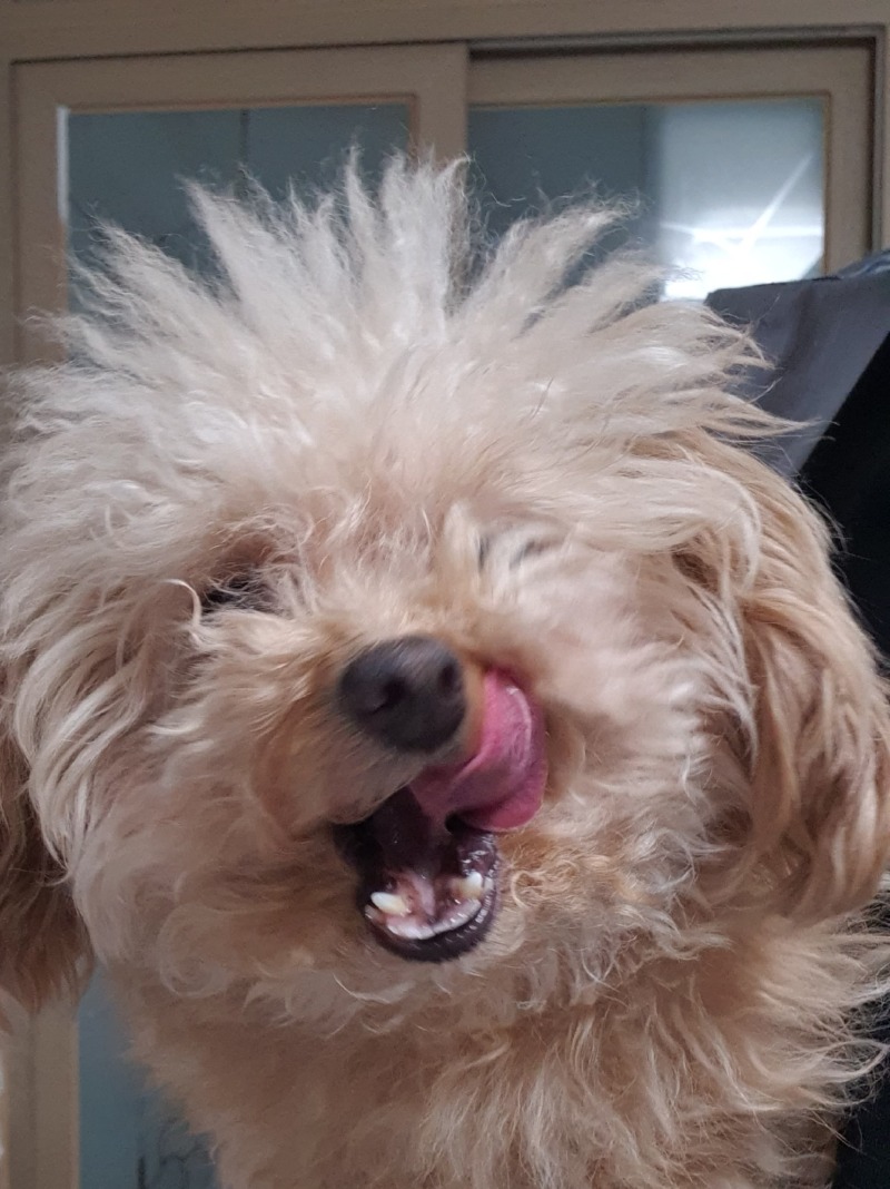 오늘의 감자