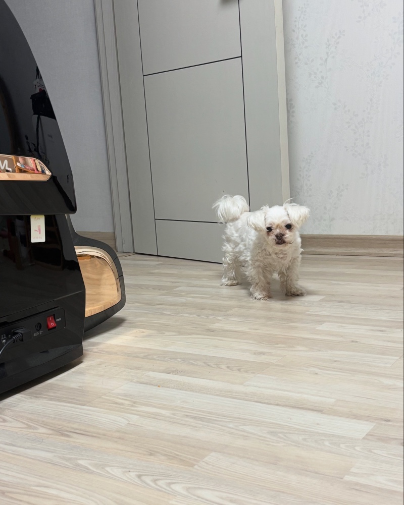 사랑이 ㅎㅎ
