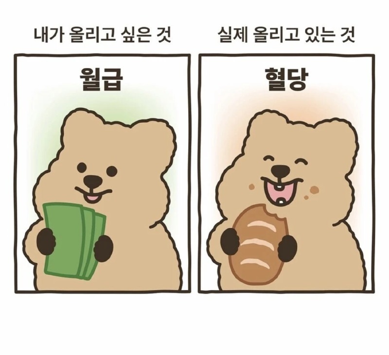 직장인들 이상과 현실