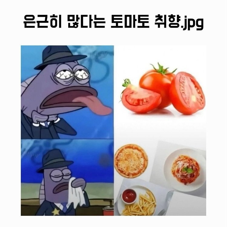 은근 많다는 토마토 취향