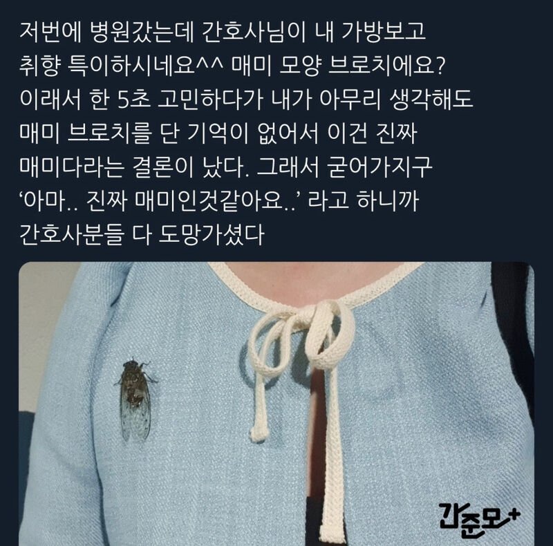 간호사님이 나보도 취향 특이하시네요^^라고 물어봄 .jpg