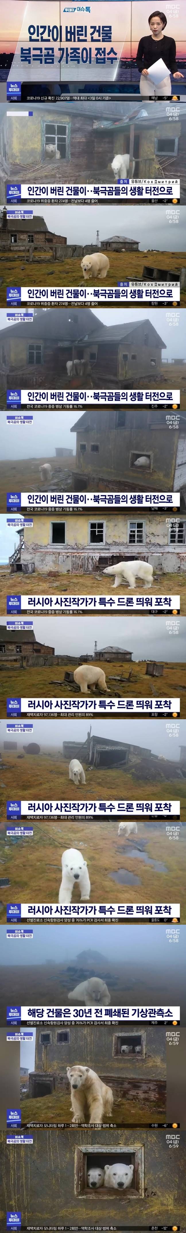 인간이 버린 건물을 접수한 북극곰 가족
