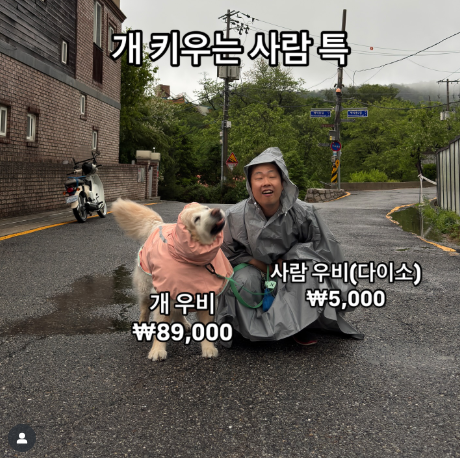 개 키우는 사람 특 