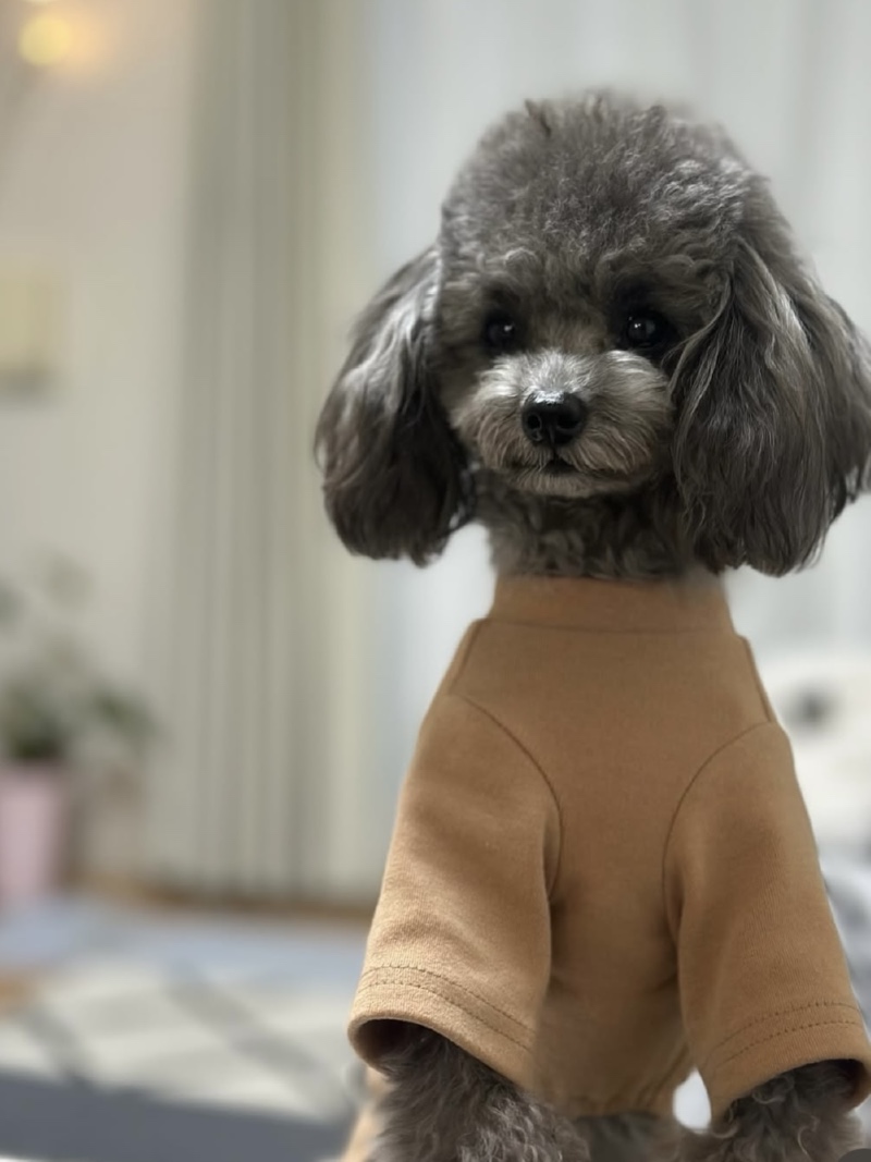 아련한 설이