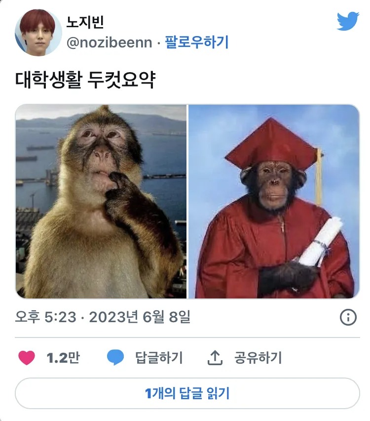 대학생활 2컷 요약