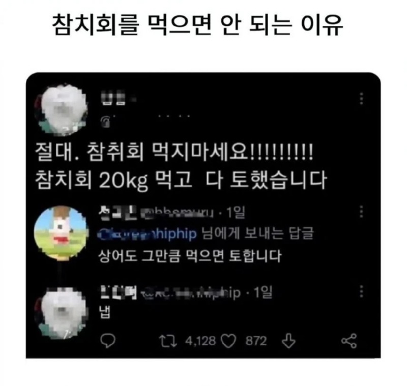 참치회를 먹으면 안되는 이유